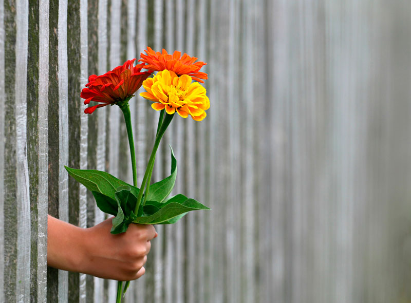 amor,-enamoramiento-o-enfermedad-mental-2 Psiquiatría Dr. Jose Carlos Fuertes Rocañín Es el amor una enfermedad mental?